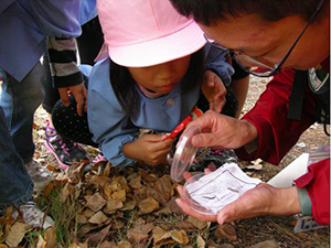北杜市幼児環境教育