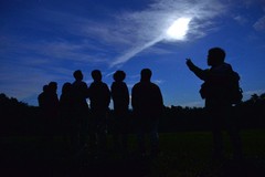 ナイトプログラム