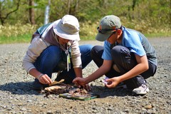 自然エネルギー2