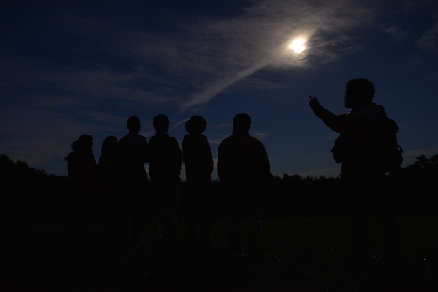 ナイトプログラム