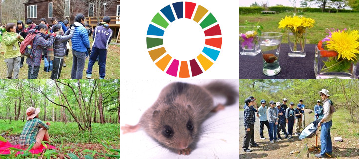 テーマ別プログラム