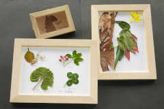 フレームアート