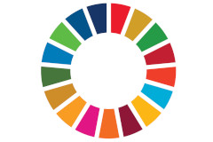 SDGs