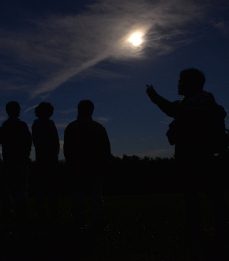 ナイトプログラム