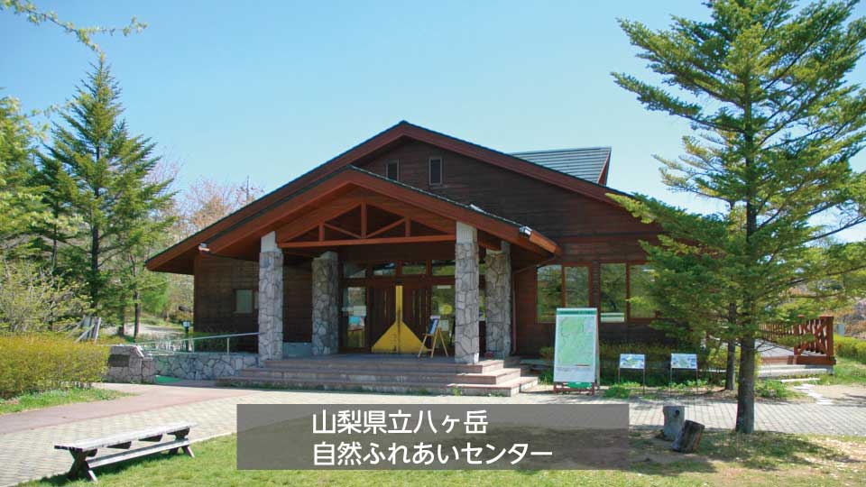 ふれあいセンター