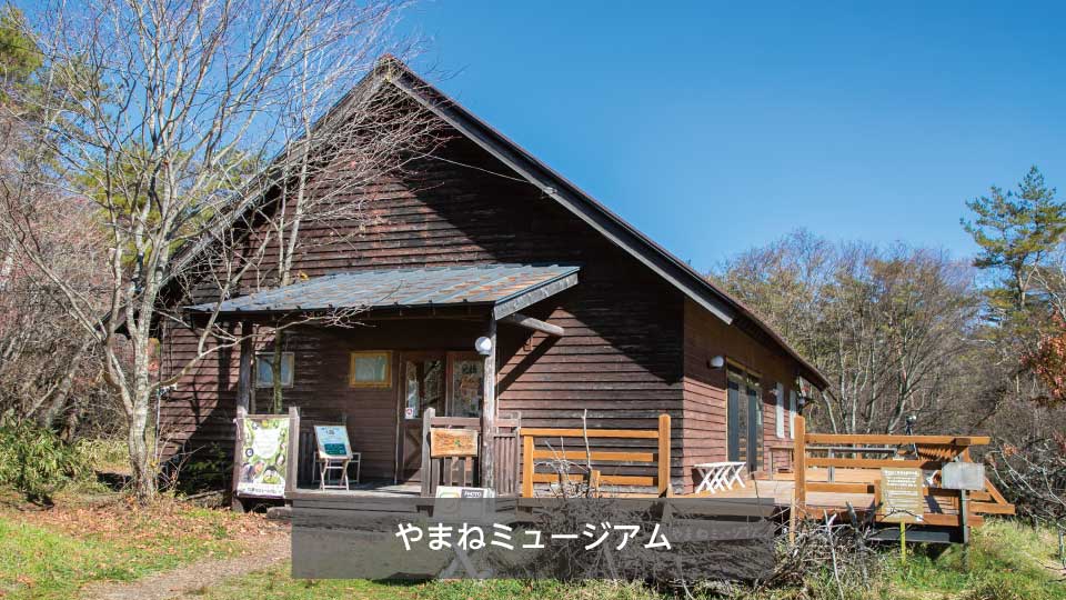 やまねミュージアム