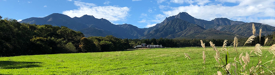 体験プログラムイメージ